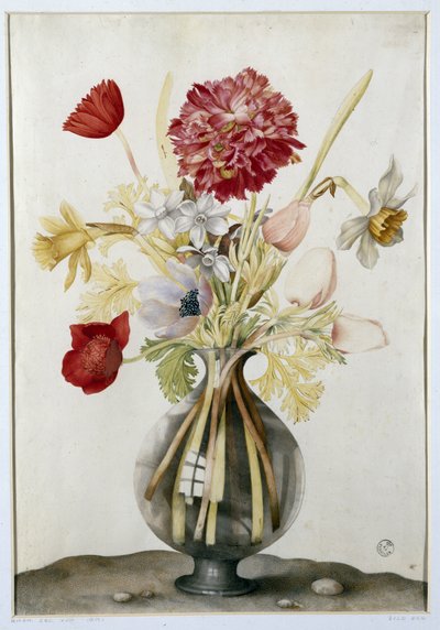 Vase mit Blumen mit Narzissen, Nelken und Anemonen von Giovanna Garzoni